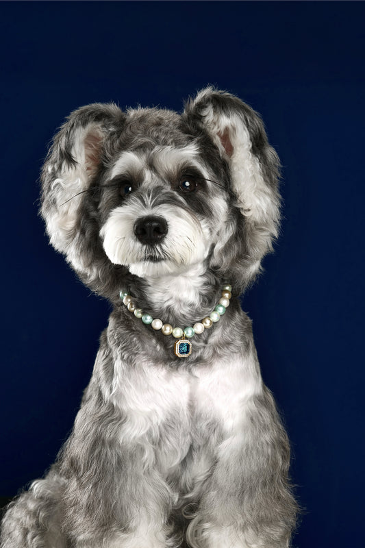 Exquisite Blue Shell Pearl Square Pendant Pet Necklace featuring a vibrant blue gem surrounded by lustrous pearls on a white background, ideal for adding a touch of elegance to your pet's wardrobe