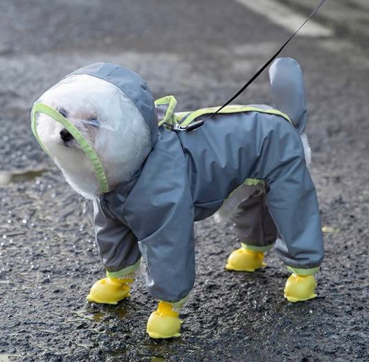 Image of a pet raincoat set, showcasing a durable, waterproof design suitable for small to medium-sized dogs. The raincoat is displayed with its various features such as reflective stripes for safety, adjustable straps for a secure fit, and a transparent hood for full head coverage, emphasizing its functionality in wet weather conditions