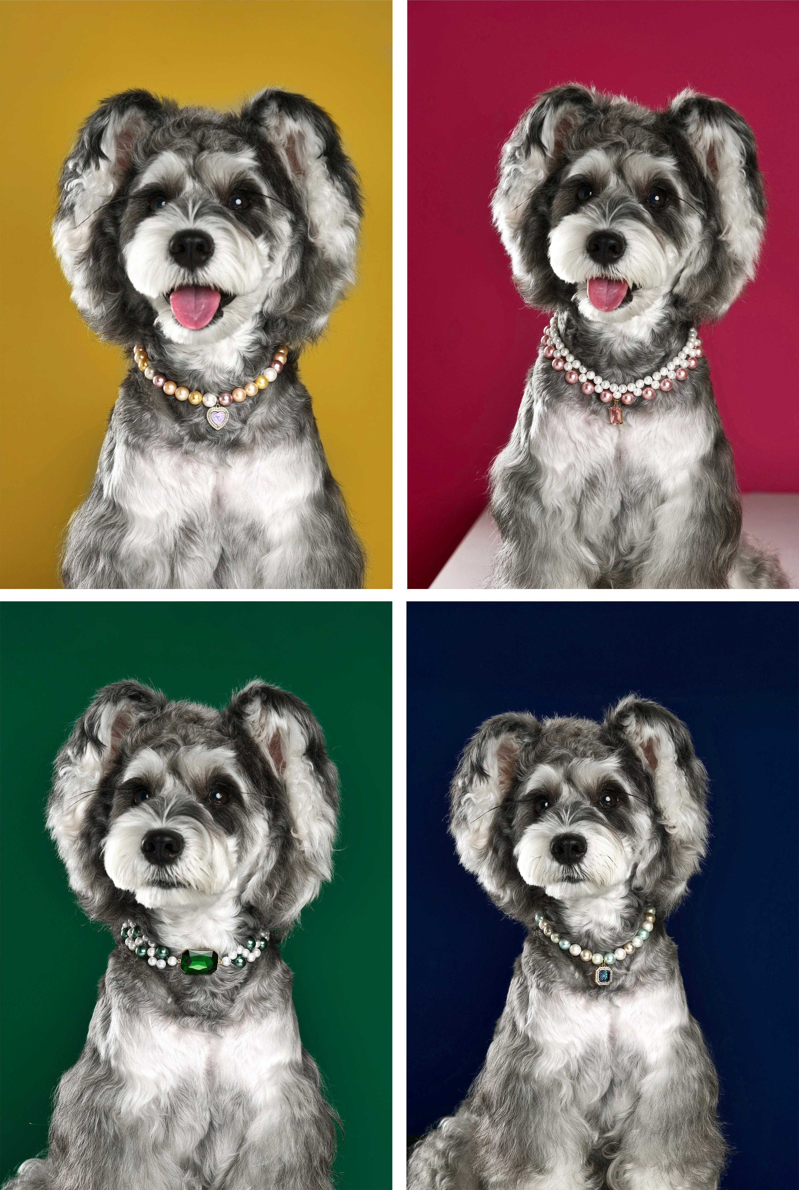 Vibrant display of the Variety Pet Pearl Necklace Collection on a cheerful dog, featuring necklaces with colorful pendants against vividly colored backgrounds. The collection includes pearls in shades of pink, green, and blue, perfect for adding a splash of style to any pet's wardrobe